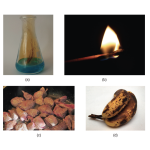 Chemistry Chapter 1 - Essential Ideas